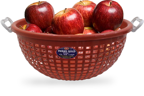 Plastic Basket