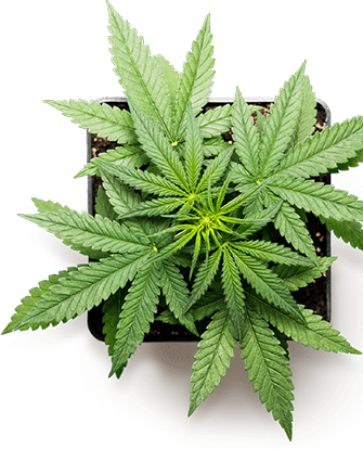 Bucket Manufacturers, Bucket Manufacturers in Delhi, Bucket Manufacturers in India