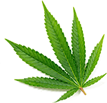 Drum Manufacturers, Drum Manufacturers in Delhi, Drum Manufacturers in India